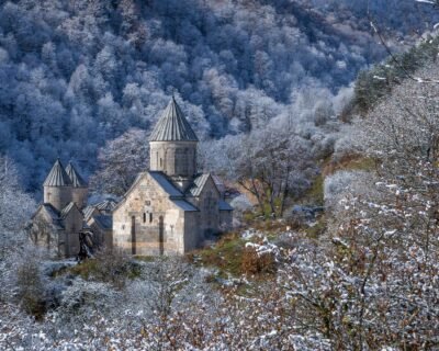 133961058420576493-1