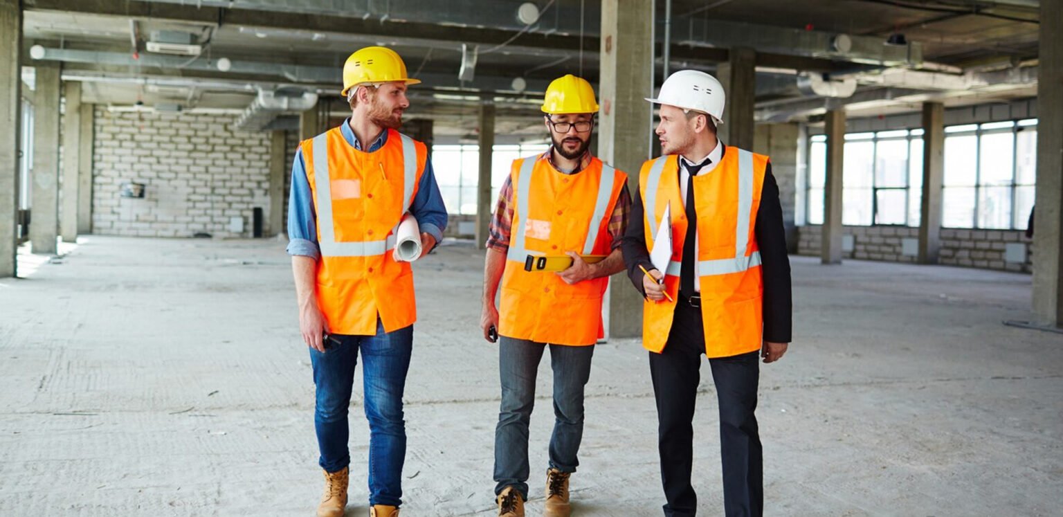The shapes of pasta food