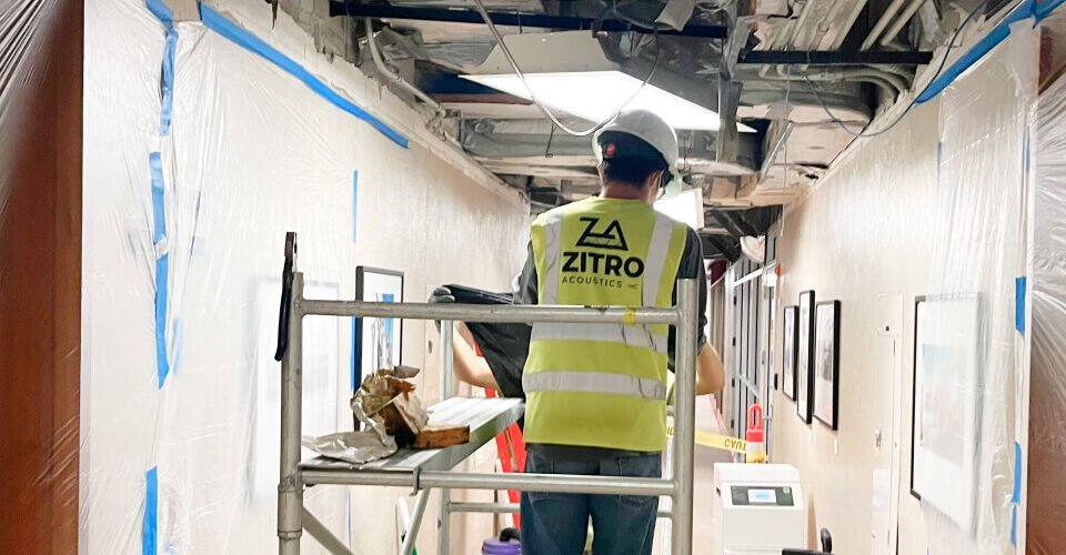 The shapes of pasta food