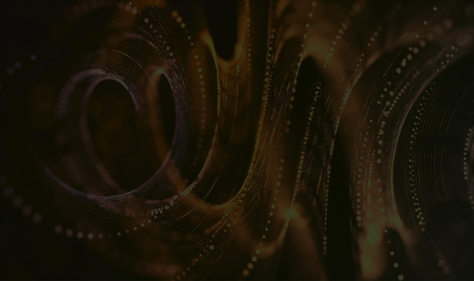 The shapes of pasta food